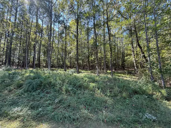 Cedar Grove, TN 38321,233 Zara Spook Dr