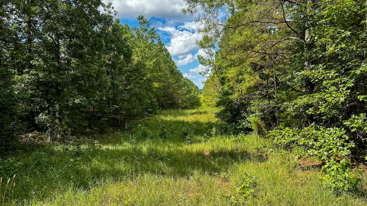 Selmer, TN 38375,0 Hines Gin Road