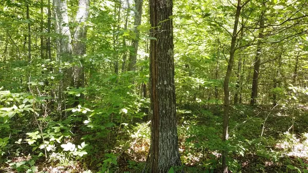 Spencer, TN 38585,0 Camp Creek Rd