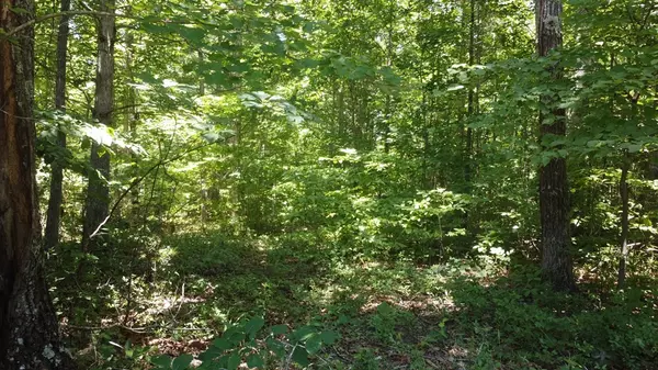 Spencer, TN 38585,0 Camp Creek Rd