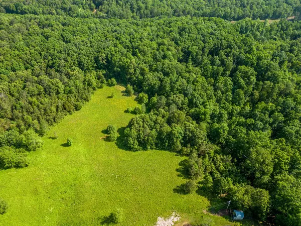 Hohenwald, TN 38462,0 Mill Ave