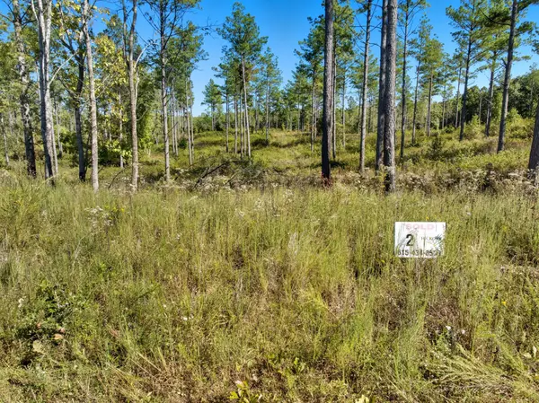 0 Saddleback Drive, Dover, TN 37058