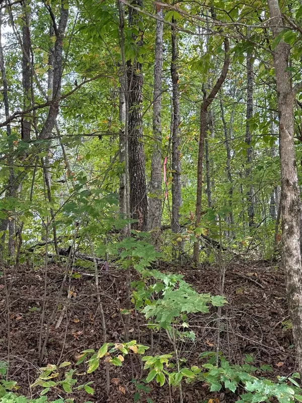 Monterey, TN 38574,0 W Laurel Way