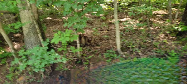 Dover, TN 37058,1 Terrapin Run Rd