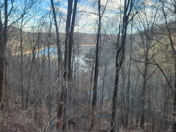 1 Antler Drive, Smithville, TN 37166