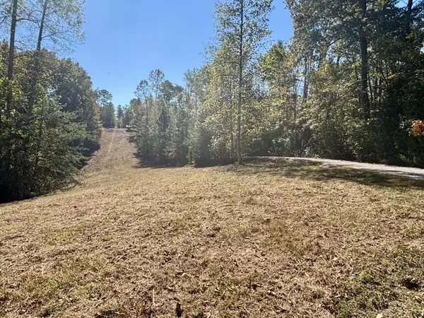 Smithville, TN 37166,2917 Obie Adcock Rd