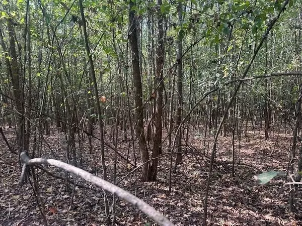 Adamsville, TN 38310,0 TOW BOAT LN