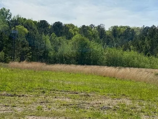 Selmer, TN 38375,0 MULBERRY AVE