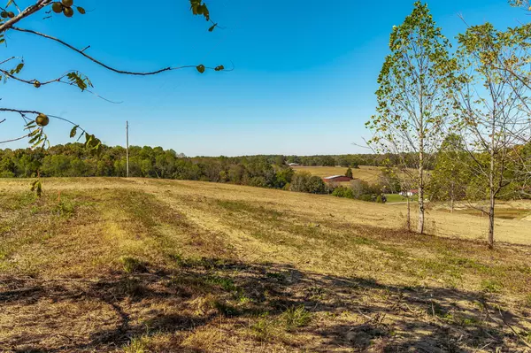 Bethpage, TN 37022,3 Rock Bridge Rd