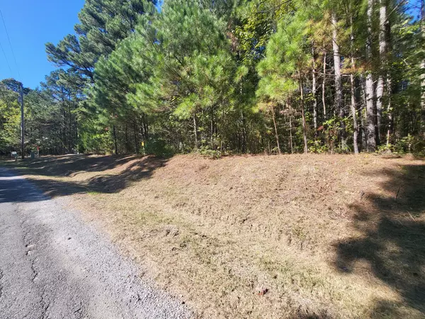 Eva, TN 38333,4 Chestnut Hill Rd