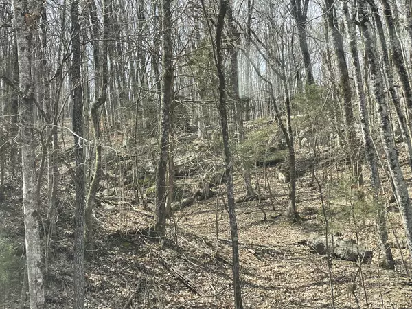 Sewanee, TN 37375,0 Roarks Cove Rd