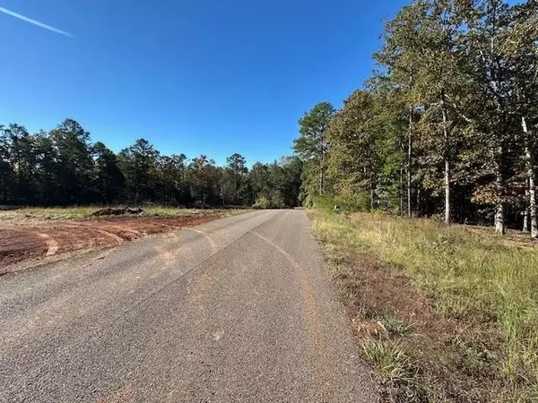 Savannah, TN 38372,2 SUZY CV