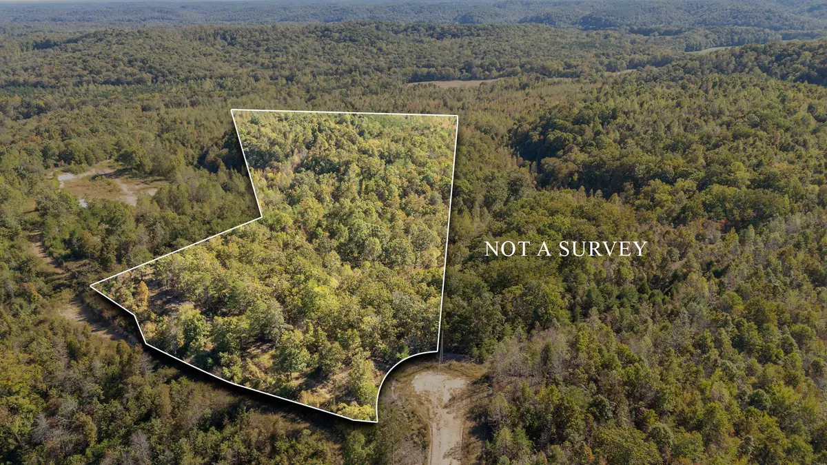 Clifton, TN 38425,0 Cotton Court Rd