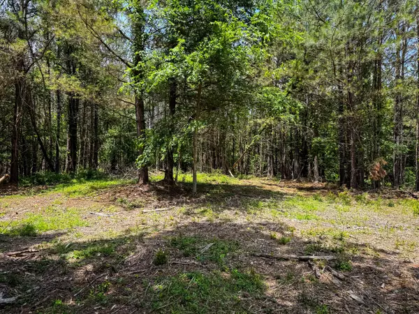 Duck River, TN 38454,0 Old Mail Road