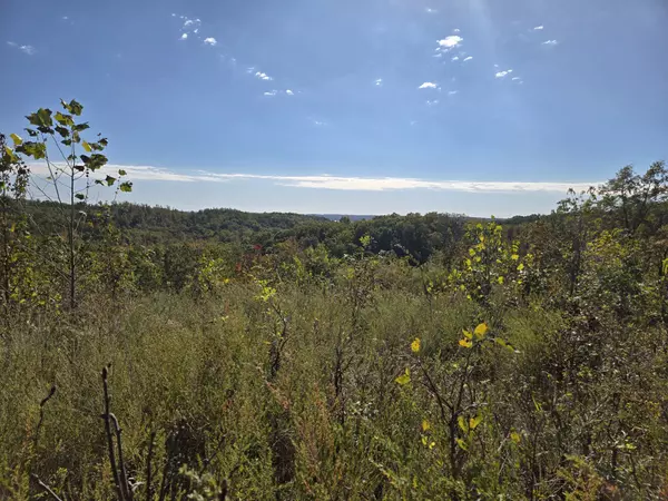 Stewart, TN 37175,0 Vista Ridge