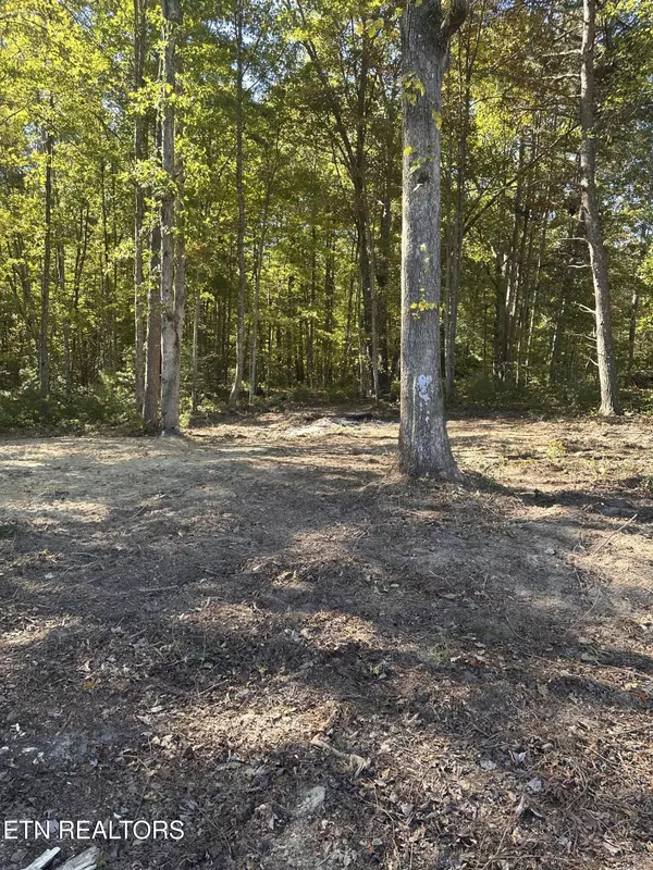 Allardt, TN 38504,186 Cave Branch Rd