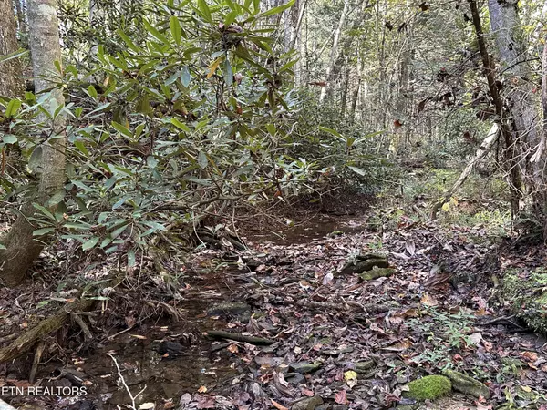 Allardt, TN 38504,186 Cave Branch Rd