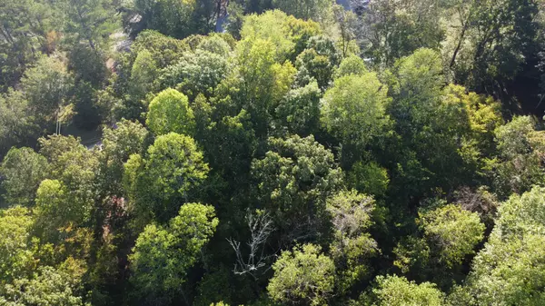 Baxter, TN 38544,0 Hillrose Drive