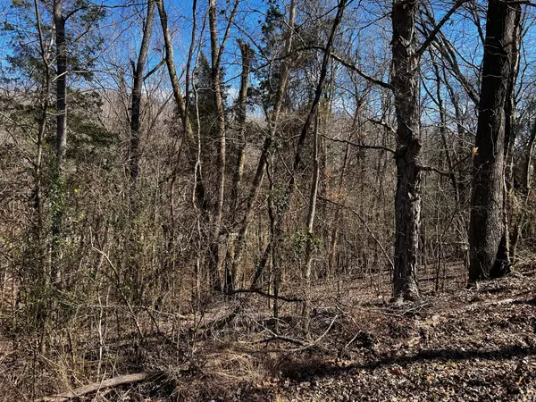 Dover, TN 37058,0 Lakeshore Dr