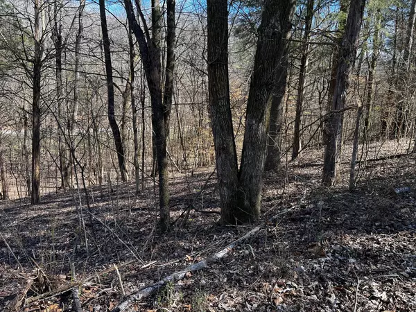 Dover, TN 37058,0 Lakeshore Dr