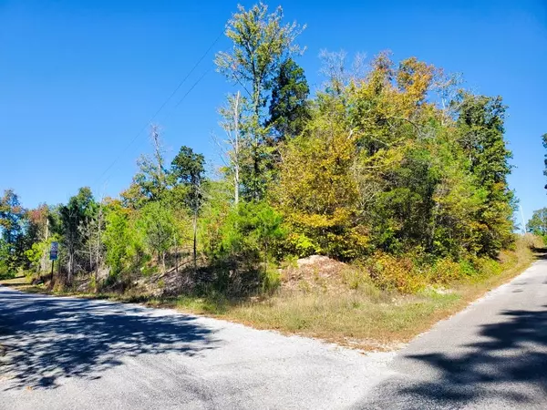 Big Sandy, TN 38221,0 New Hope Rd