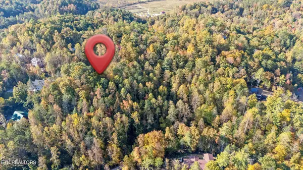 Sevierville, TN 37862,0 Sulpher Springs Way