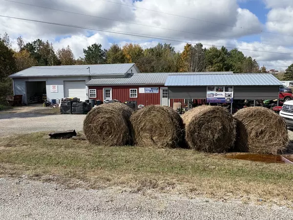 Hohenwald, TN 38462,106 Cotham St