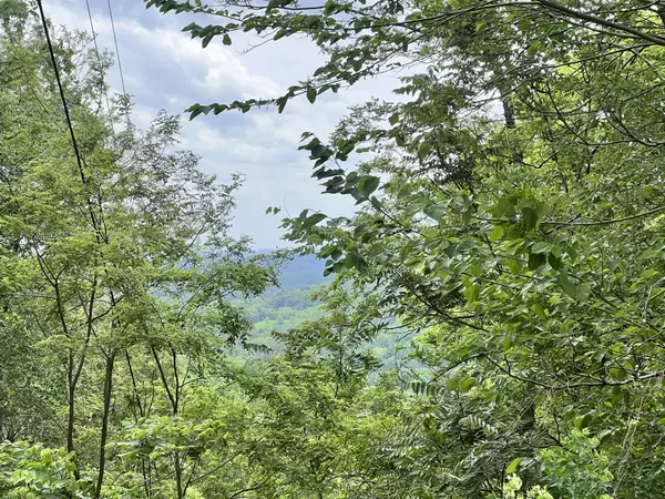 Bethpage, TN 37022,1480 Gravel Hill Rd