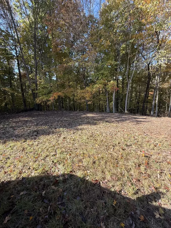 Allons, TN 38541,0 Collins Road