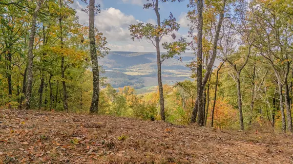 Altamont, TN 37301,0 Valley View Drive