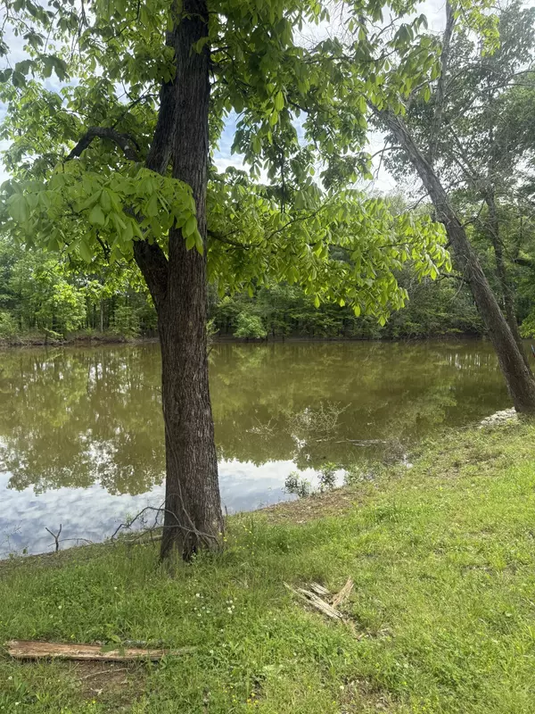 Clifton, TN 38425,181 Mallard Drive