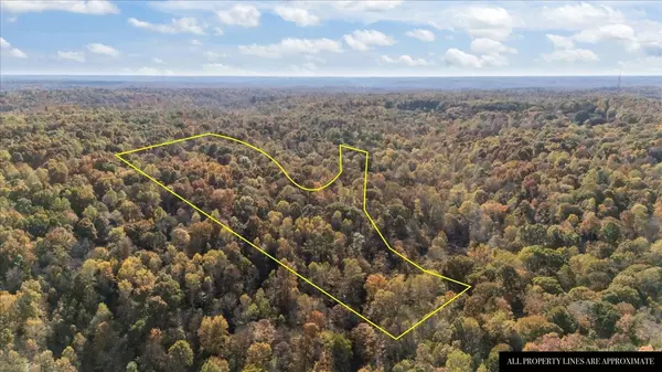 Vanleer, TN 37181,876 Little Leatherwood Rd