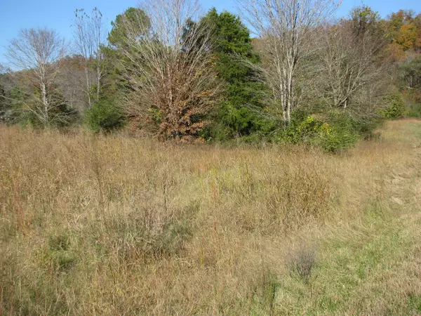 Waverly, TN 37185,199 Spann Loop