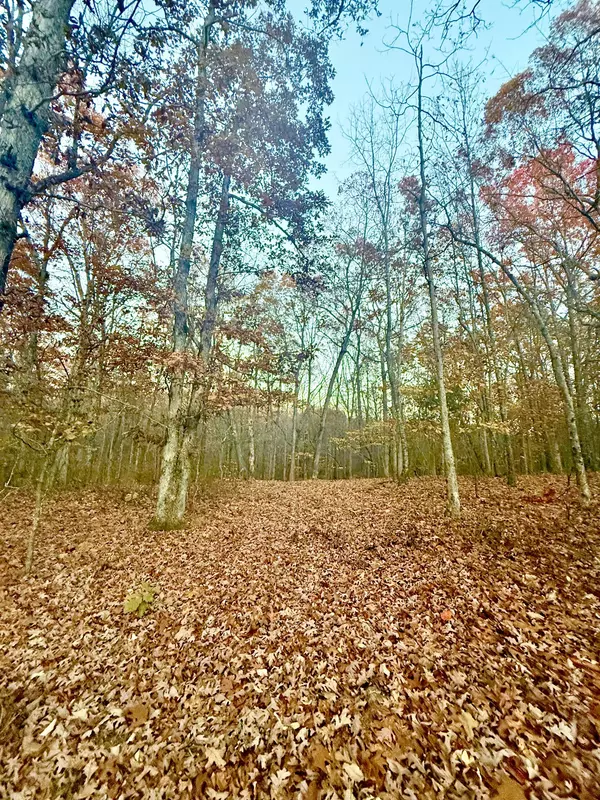 Sewanee, TN 37375,0 Deep Woods Rd