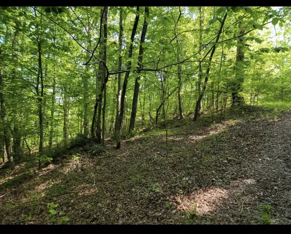 Sparta, TN 38583,0 Shetland trace