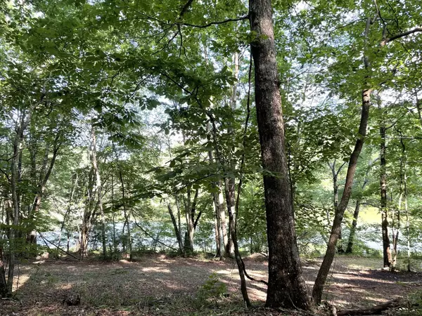 Sewanee, TN 37375,0 Tate Trl