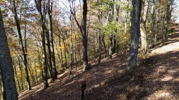 Smithville, TN 37166,0 Savannah Dr