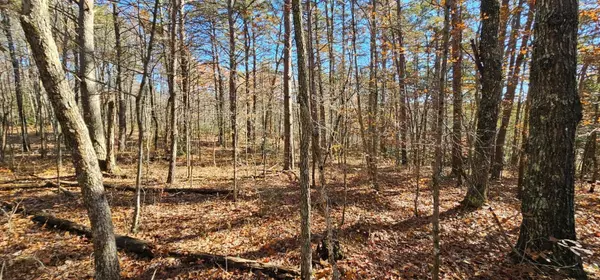 Dunlap, TN 37327,0 Woods Rd