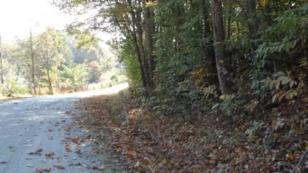 Celina, TN 38551,0 Moss Arcot Rd