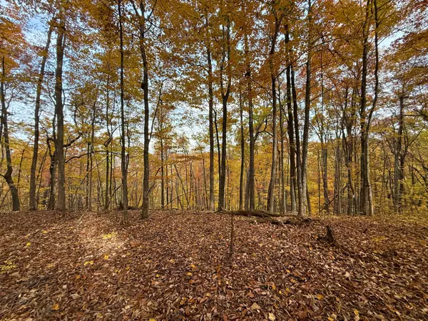 540 Cumberland Cove Rd, Monterey, TN 38574