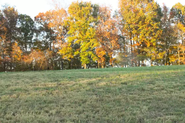 125 Miramare WAY, Adams, TN 37010