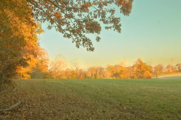 Adams, TN 37010,125 Miramare WAY