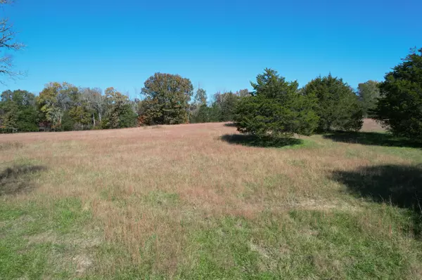 Spring Hill, TN 37174,0 Flat Creek Rd