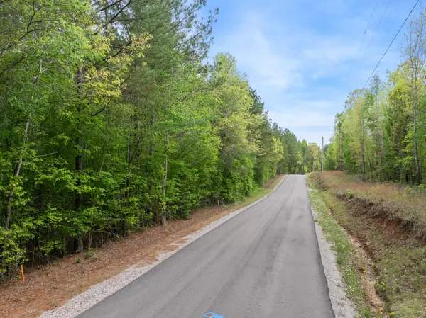 Bethel Springs, TN 38315,0 Curtis Hill Church Rd