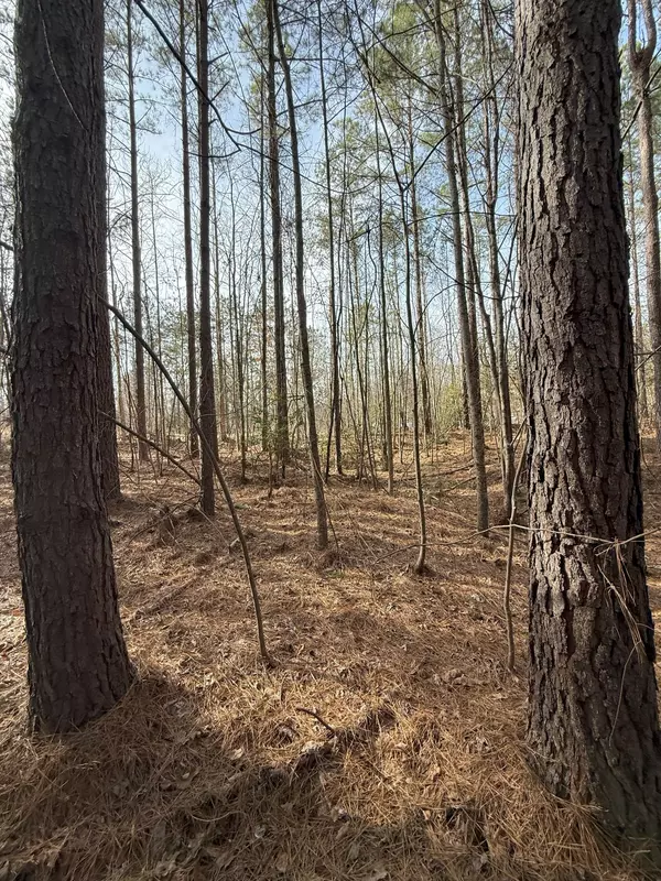 Bethel Springs, TN 38315,0 Curtis Hill Church Rd