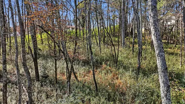 Dayton, TN 37321,0 Sierra Drive