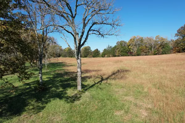 Spring Hill, TN 37174,2 Flat Creek Rd