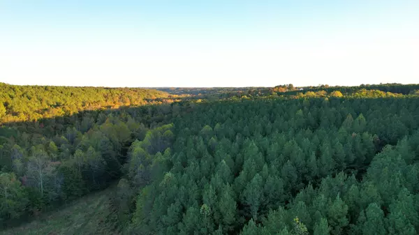 Collinwood, TN 38450,0 Hughes Farm Road