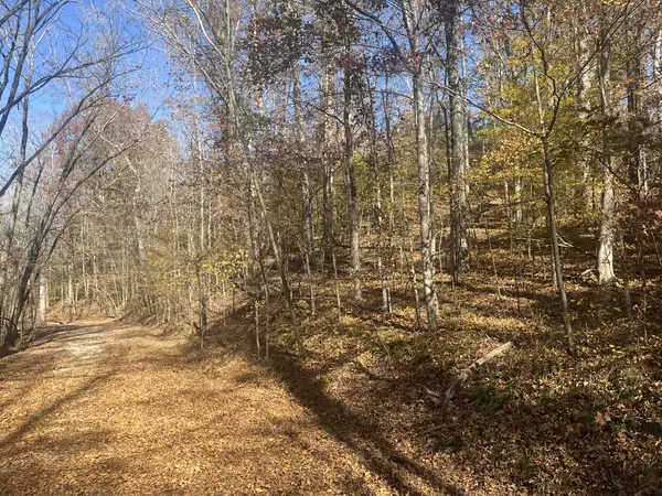 Parsons, TN 38363,0 Arrow Head Circle