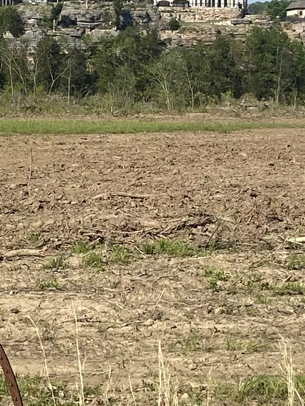 Clifton, TN 38425,0 Dancing Eagle Lane